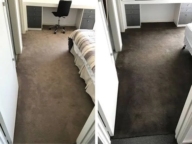 Professional carpet dyeing service example
